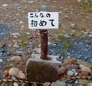 tanasinn