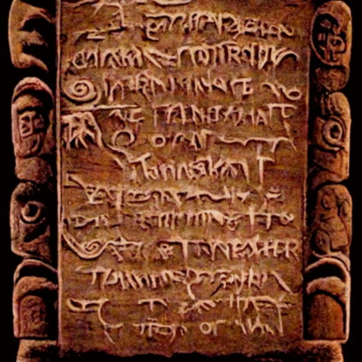 tanasinn by tanasinn (83119 B)